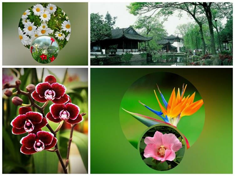Thủ tục thành lập chi nhánh công ty cổ phần tại Nam Định 4 Thủ tục thành lập chi nhánh công ty cổ phần tại Nam Định
