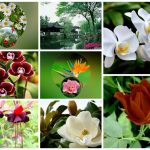 Muốn thành lập chi nhánh công ty cổ phần tại Quận Hoàng Mai