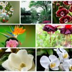 Thủ tục thành lập chi nhánh công ty cổ phần tại Quảng Ngãi 6 Muốn thành lập chi nhánh công ty cổ phần tại Quảng Ngãi
