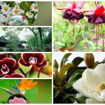 Thủ tục thành lập chi nhánh công ty cổ phần tại Sơn La 6 Muốn thành lập chi nhánh công ty cổ phần tại Sơn La