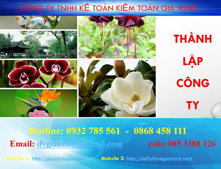 Thủ tục thành lập chi nhánh công ty cổ phần tại Sơn La 4 Thủ tục thành lập chi nhánh công ty cổ phần tại Sơn La