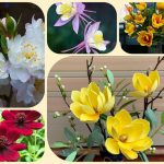 Xin cấp giấy phép vệ sinh an toàn thực phẩm cho nhà hàng, quán ăn 6 xin cấp giấy phép vệ sinh an toàn thực phẩm cho nhà hàng, quán ăn