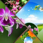 Xin giấy phép phòng khám tại Bình Thuận 6 Muốn xin giấy phép mở phòng khám tại Bình Thuận
