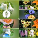 Hướng dẫn xin giấy phép mở phòng khám tại Hà Nam chuẩn pháp lý 6 Muốn xin giấy phép mở phòng khám tại Hà Nam
