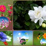 Xin giấy phép phòng khám tại Hà Nội 6 Muốn xin giấy phép mở phòng khám tại Hà Nội
