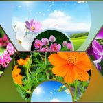 Xin giấy phép phòng khám tại Huyện Bình Chánh 3 Muốn xin giấy phép mở phòng khám tại Huyện Bình Chánh