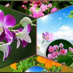 Xin giấy phép phòng khám tại Khánh Hòa 6 Muốn xin giấy phép mở phòng khám tại Khánh Hòa