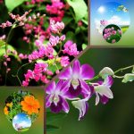 Xin giấy phép phòng khám tại Kiên Giang 6 Muốn xin giấy phép mở phòng khám tại Kiêng Giang