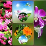 Xin giấy phép phòng khám tại Lào Cai 6 Muốn xin giấy phép mở phòng khám tại Lào Cai