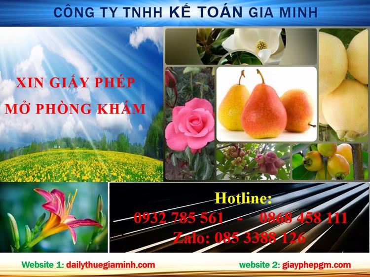 Xin giấy phép phòng khám tại Quận 7 1 Thủ tục xin giấy phép mở phòng khám tại Quận 7