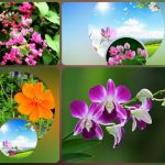 Xin giấy phép phòng khám tại Quận Tân Bình 3 Muốn xin giấy phép mở phòng khám tại Quận Tân Bình