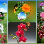 Xin giấy phép phòng khám tại Quận Thủ Đức 3 Muốn xin giấy phép mở phòng khám tại Quận Thủ Đức