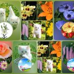 Xin giấy phép phòng khám tại Sơn La 6 Muốn xin giấy phép mở phòng khám tại Sơn La