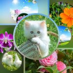 Xin giấy phép phòng khám tại TP Thủ Đức 3 Muốn xin giấy phép mở phòng khám tại TP Thủ Đức