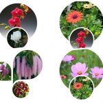 Muốn xin giấy phép mở phòng khám tư nhân tại Quảng Ninh