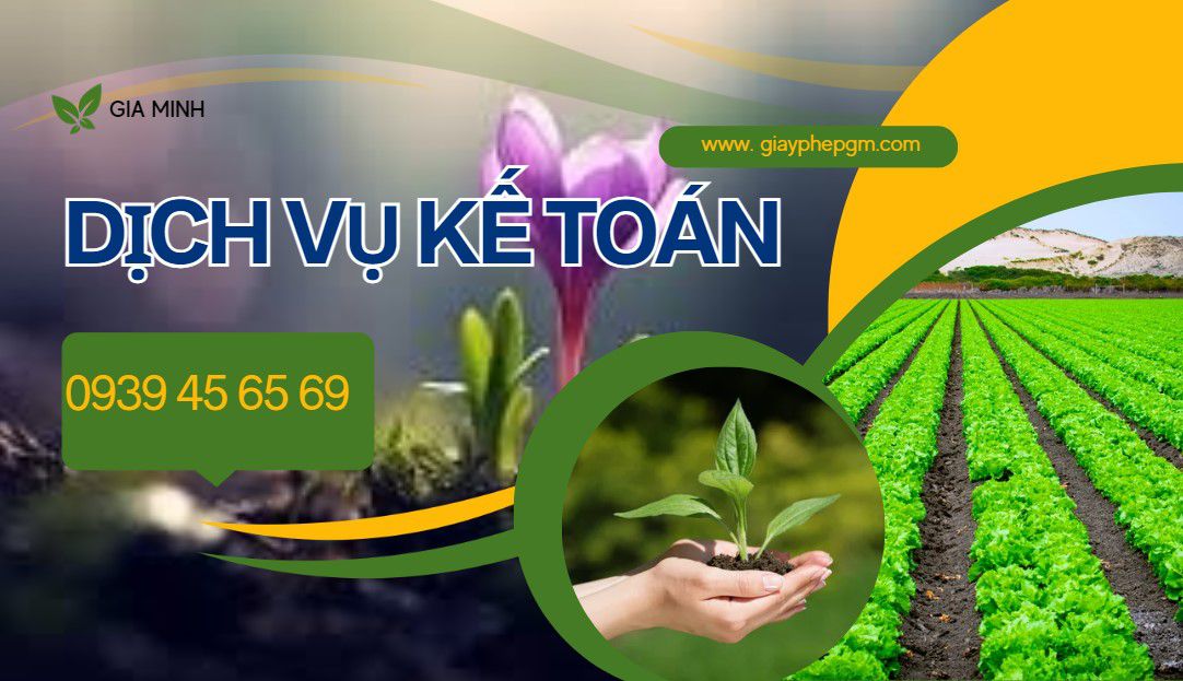 Dịch vụ kế toán Huyện Phong Điền 10 Tư vấn dịch vụ kế toán cho doanh nghiệp nhỏ tại Phong Điền