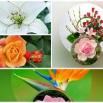 Thành lập công ty âm nhạc tại Lâm Đồng 6 Muốn thành lập doanh nghiệp âm nhạc ở Lâm Đồng