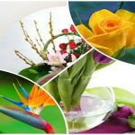 Thành lập công ty âm nhạc tại Thái Nguyên 6 Muốn thành lập doanh nghiệp âm nhạc ở Thái Nguyên