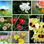 Muốn thành lập doanh nghiệp âm nhạc tại Thị xã Sơn Tây