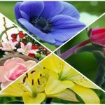 Thành lập công ty âm nhạc tại TT Huế 6 Muốn thành lập doanh nghiệp âm nhạc ở TT Huế
