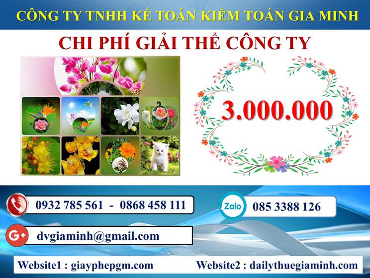 Chi phí giải thể công ty trọn gói giá rẻ tại Cần Thơ