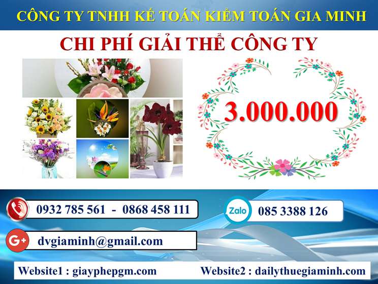 Dịch vụ giải thể công ty trọn gói giá rẻ tại Điện Biên 5 Chi phí giải thể công ty trọn gói giá rẻ tại Điện Biên