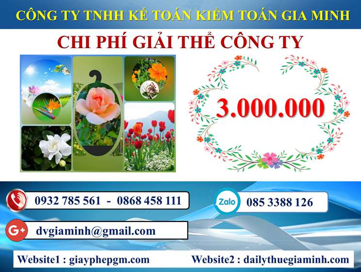 Chi phí giải thể công ty trọn gói giá rẻ tại Hải Phòng