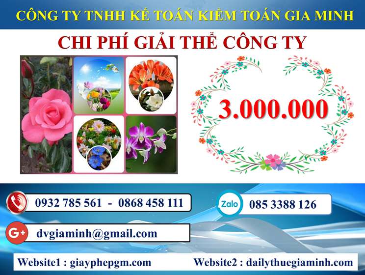 Dịch vụ giải thể công ty trọn gói giá rẻ tại Huyện Đảo Bạch Long Vĩ nhanh, uy tín 5 Dịch vụ giải thể công ty trọn gói giá rẻ tại Huyện Đảo Bạch Long Vĩ