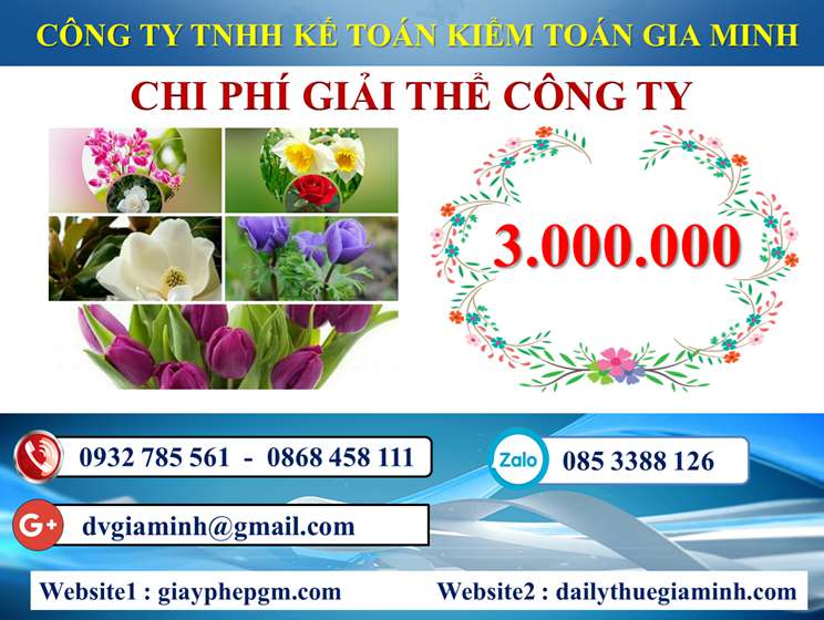 Dịch vụ giải thể công ty trọn gói giá rẻ tại Huyện Đảo Cát Hải – Uy tín, nhanh chóng 5 Dịch vụ giải thể công ty trọn gói giá rẻ tại Huyện Đảo Đảo Cát Hải