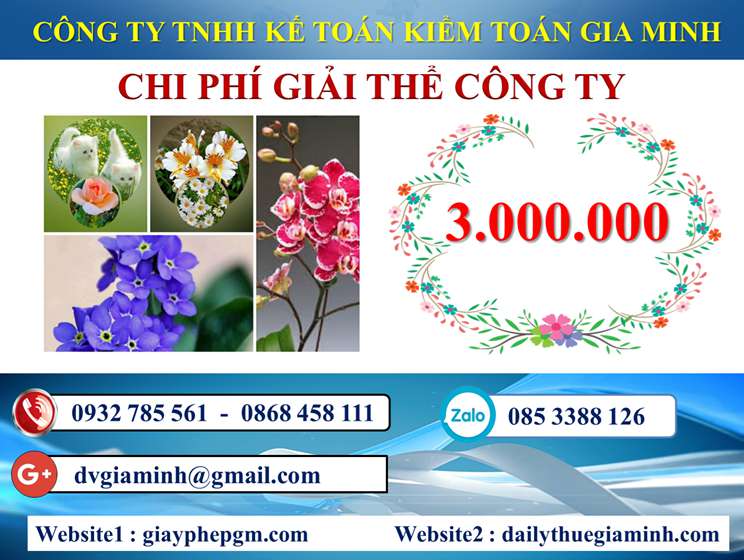 Dịch vụ giải thể công ty trọn gói giá rẻ tại Huyện Hoàng Sa 5 Chi phí giải thể công ty trọn gói giá rẻ tại Huyện Hoàng Sa
