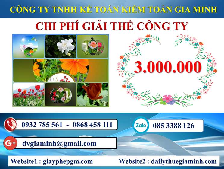 Dịch vụ giải thể công ty trọn gói giá rẻ tại Huyện Kiến Thụy – Nhanh chóng, đúng pháp luật 5 Chi phí giải thể công ty trọn gói giá rẻ tại Huyện Kiến Thụy