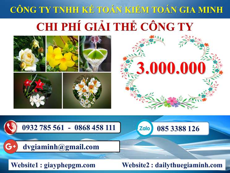 Dịch vụ giải thể công ty trọn gói giá rẻ tại Huyện Mê Linh 5 Chi phí giải thể công ty trọn gói giá rẻ tại Huyện Mê Linh