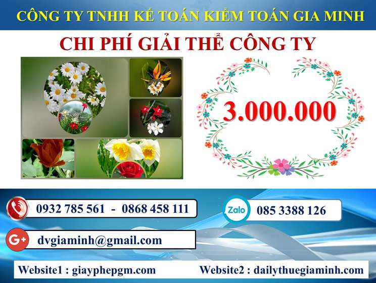 Dịch vụ giải thể công ty trọn gói giá rẻ tại Huyện Mỹ Đức – Nhanh chóng, uy tín 5 Chi phí giải thể công ty trọn gói giá rẻ tại Huyện Mỹ Đức
