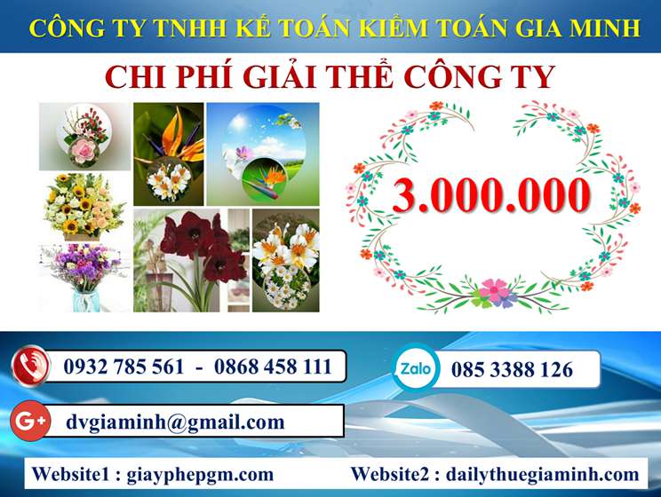 Dịch vụ giải thể công ty trọn gói giá rẻ tại Huyện Thường Tín 5 Chi phí giải thể công ty trọn gói giá rẻ tại Huyện Thường Tín