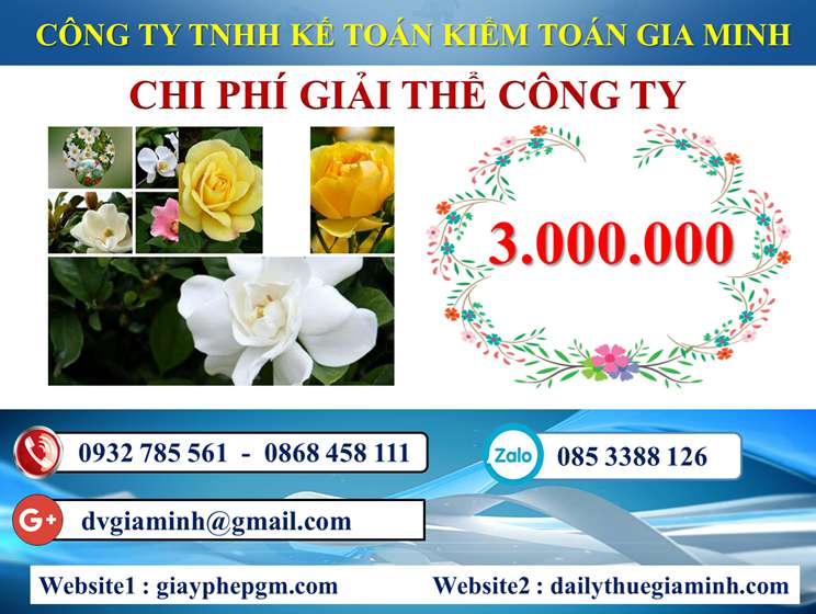 Chi phí giải thể công ty trọn gói giá rẻ tại Huyện Tiên Lãng
