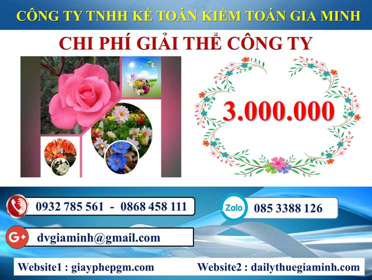 Dịch vụ giải thể công ty trọn gói giá rẻ tại Huyện Vĩnh Thạnh 5 Chi phí giải thể công ty trọn gói giá rẻ tại Huyện Vĩnh Thạnh