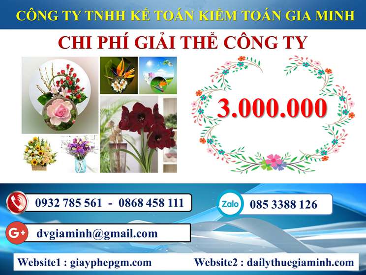 Dịch vụ giải thể công ty trọn gói giá rẻ tại Ninh Bình 5 Chi phí giải thể công ty trọn gói giá rẻ tại Ninh Bình