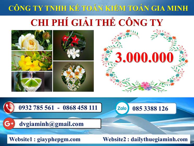 Dịch vụ giải thể công ty trọn gói giá rẻ tại Ninh Thuận 5 Chi phí giải thể công ty trọn gói giá rẻ tại Ninh Thuận