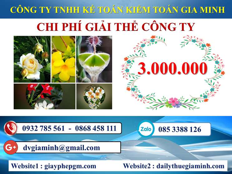 Dịch vụ giải thể công ty trọn gói giá rẻ tại Phú Yên 5 Chi phí giải thể công ty trọn gói giá rẻ tại Phú Yên