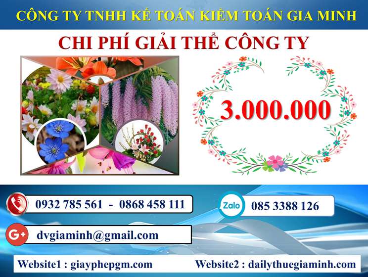 Dịch vụ giải thể công ty trọn gói giá rẻ tại Quận Cái Răng nhanh chóng, uy tín 7 Chi phí giải thể công ty trọn gói giá rẻ tại Quận Cái Răng