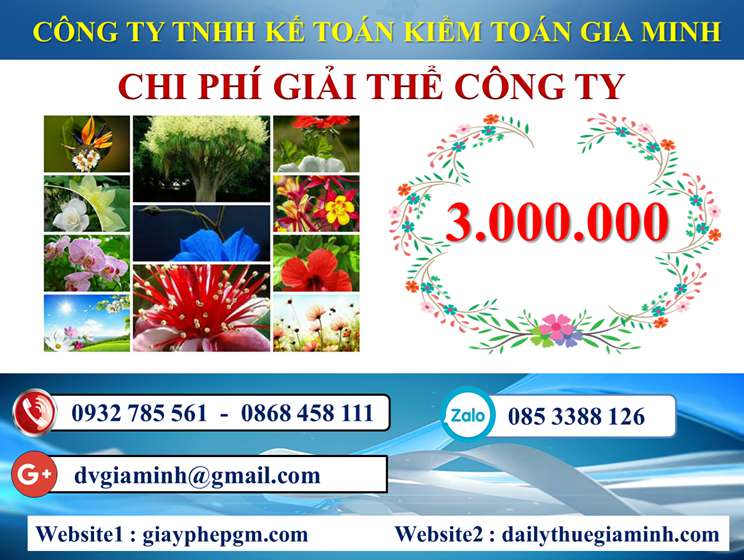 Chi phí giải thể công ty trọn gói giá rẻ tại Quận Dương Kinh