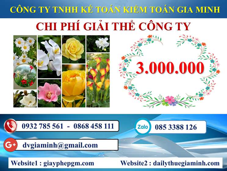 Dịch vụ giải thể công ty trọn gói giá rẻ tại Quận Hải An uy tín, nhanh chóng 5 Chi phí giải thể công ty trọn gói giá rẻ tại Quận Hải An