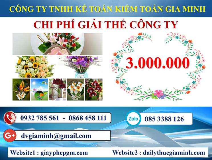 Dịch vụ giải thể công ty trọn gói giá rẻ tại Quận Hai Bà Trưng 5 Chi phí giải thể công ty trọn gói giá rẻ tại Quận Hai Bà Trưng