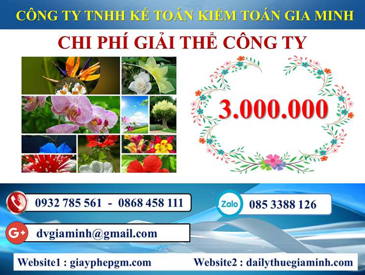 Dịch vụ giải thể công ty trọn gói giá rẻ tại Quận Ngũ Hành Sơn 5 Chi phí giải thể công ty trọn gói giá rẻ tại Quận Ngũ Hành Sơn