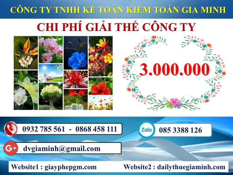 Dịch vụ giải thể công ty trọn gói giá rẻ tại Quận Ô Môn 5 Chi phí giải thể công ty trọn gói giá rẻ tại Quận Ô Môn