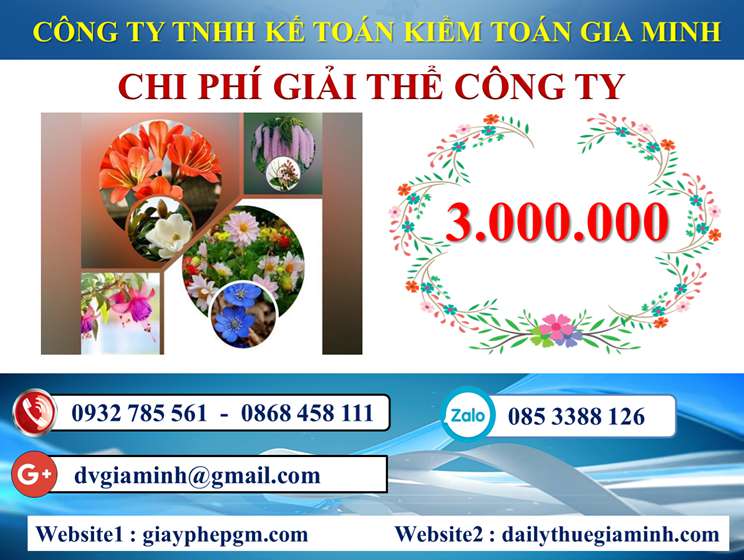 Dịch vụ giải thể công ty trọn gói giá rẻ tại Quận Thốt Nốt 5 Chi phí giải thể công ty trọn gói giá rẻ tại Quận Thốt Nốt