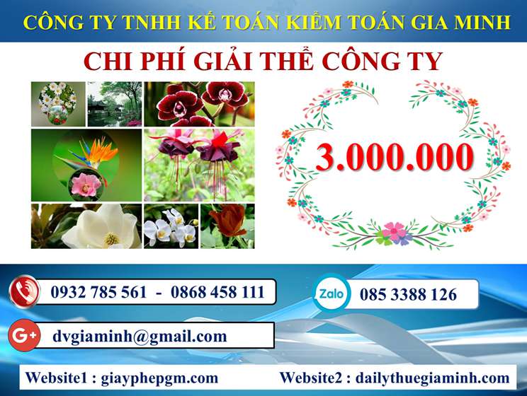 Dịch vụ giải thể công ty trọn gói giá rẻ tại Quảng Ninh 5 Chi phí giải thể công ty trọn gói giá rẻ tại Quảng Ninh