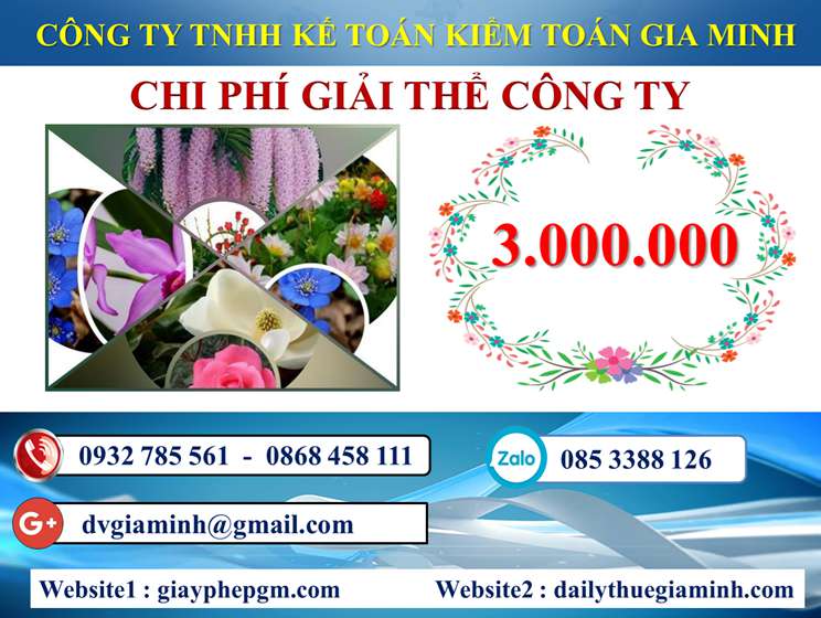 Dịch vụ giải thể công ty trọn gói giá rẻ tại Thái Bình 5 Chi phí giải thể công ty trọn gói giá rẻ tại Thái Bình