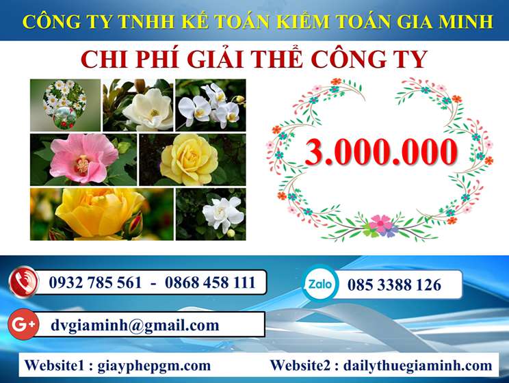 Dịch vụ giải thể công ty trọn gói giá rẻ tại Vũng Tàu 5 Chi phí giải thể công ty trọn gói giá rẻ tại Vũng Tàu
