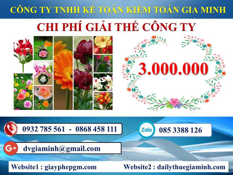 Dịch Vụ Giải Thể Doanh Nghiệp Tại Hà Tĩnh – Hướng Dẫn Toàn Diện 2025 7 Chi phí dịch vụ giải thể doanh nghiệp tại Hà Tĩnh